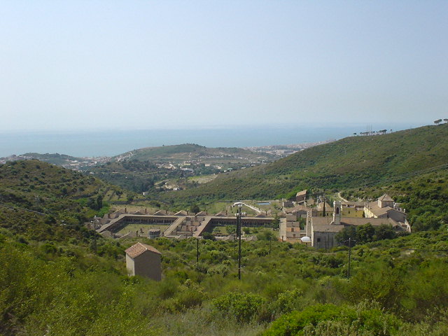 Palomas comiendo pan
